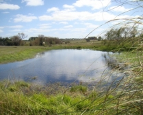 Enlarge photo