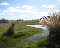 Enlarge photo
